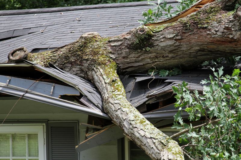 Asphalt Roofing Service in Woodstock, VT