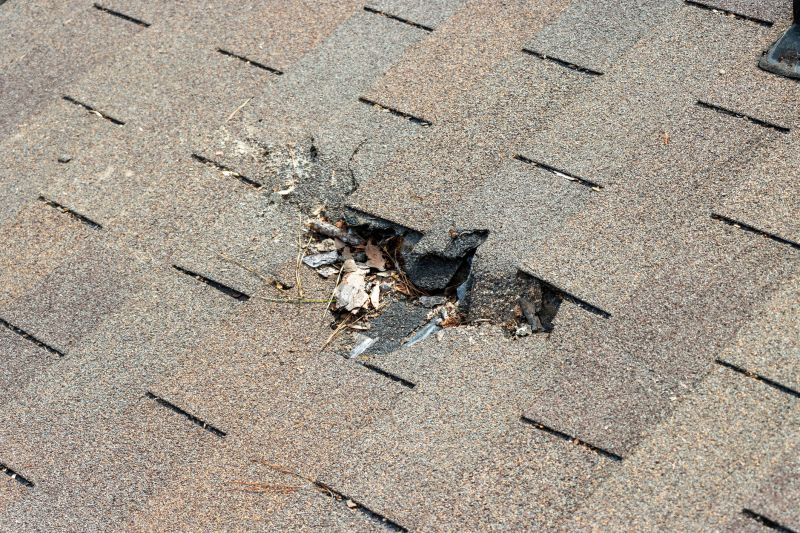 Roof Shingles Replacement in Norwich, VT